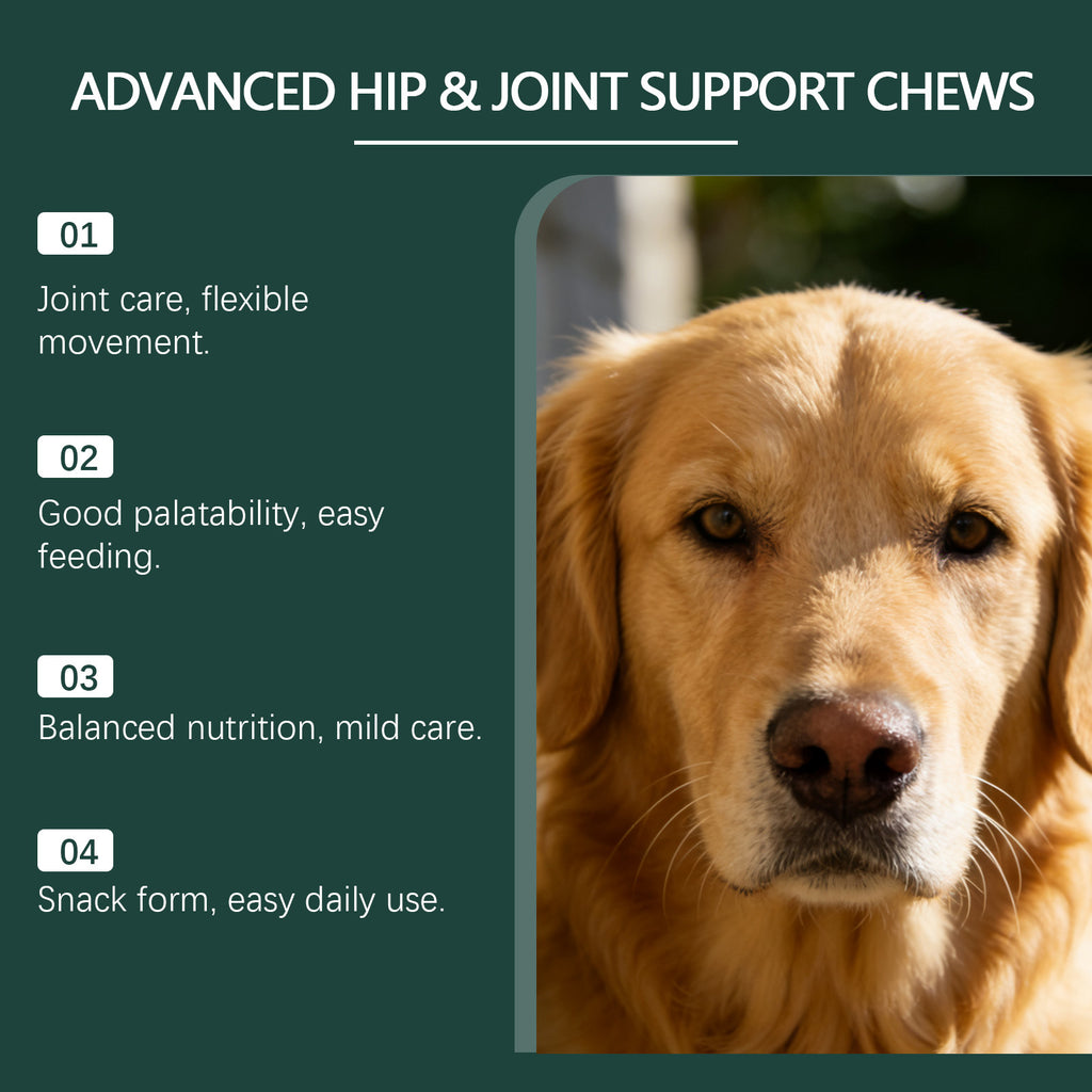 Daily Joint Care Chewable Tablets For Pets
