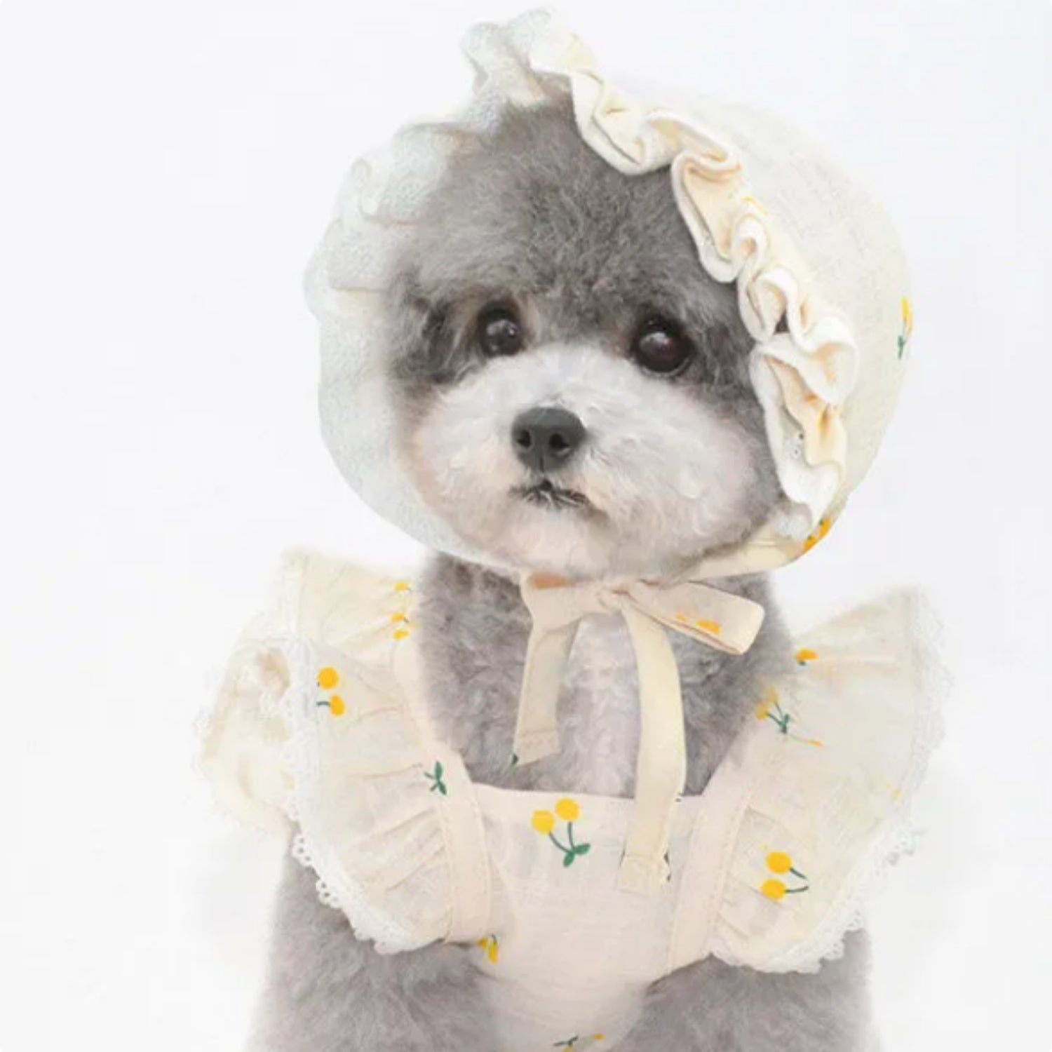 Dog Clothes Summer Thin Sunscreen Skirt Princess
