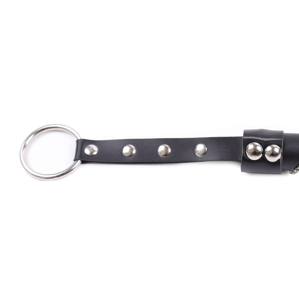 Bound Whip Diamond Handle Pointer