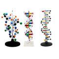 Protein Model School Teacher Teaching Supplies