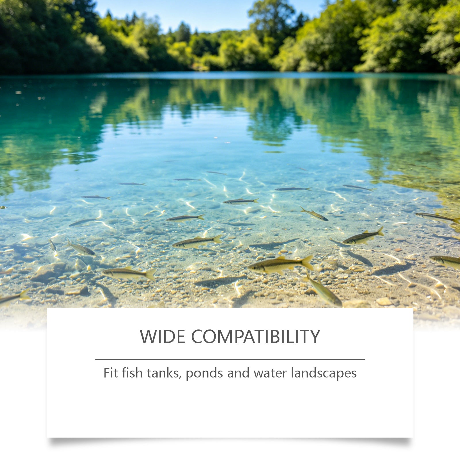 Beneficial Water Clarifier