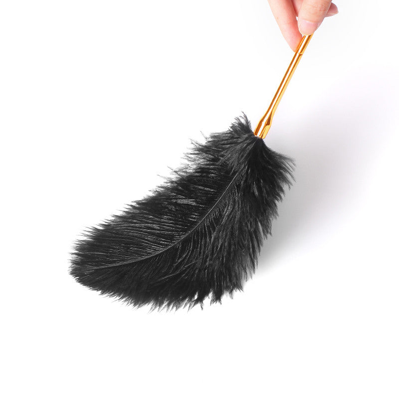 Training Feather Tickling Feet  Toy