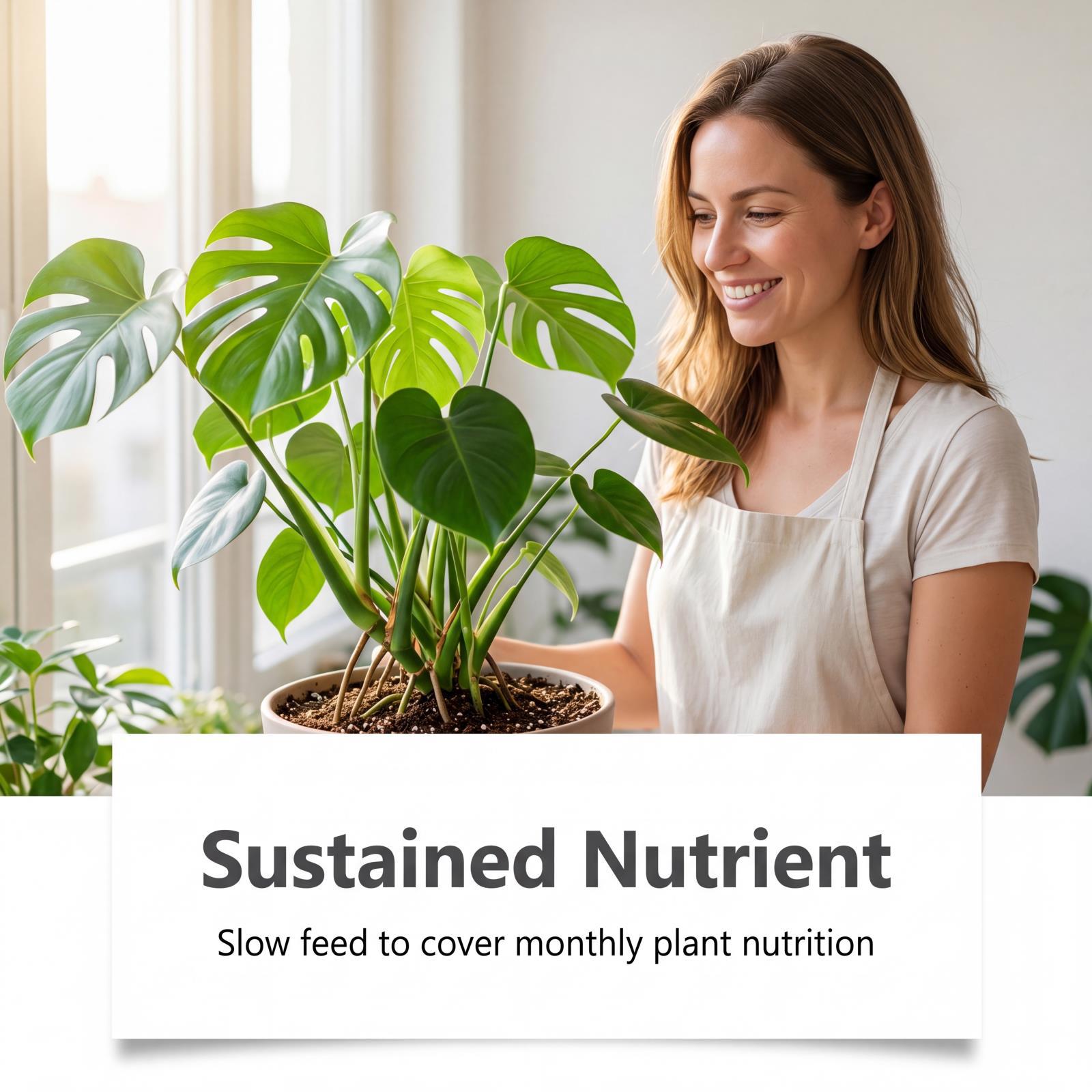Soil Nutrient Tablet