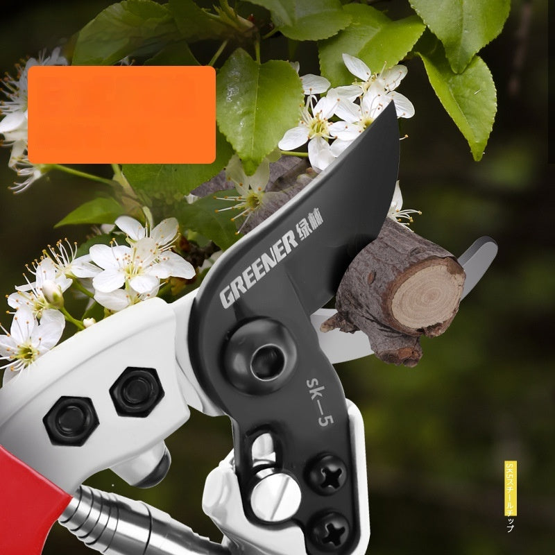 Green Forest Scissors Professional Gardening Tools