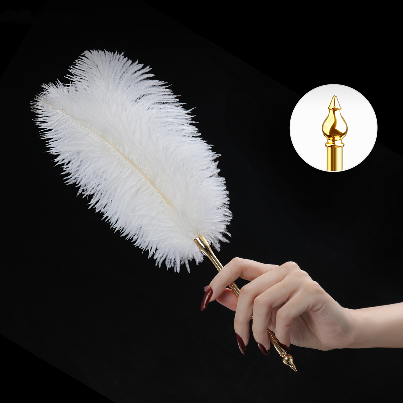 Training Feather Tickling Feet  Toy