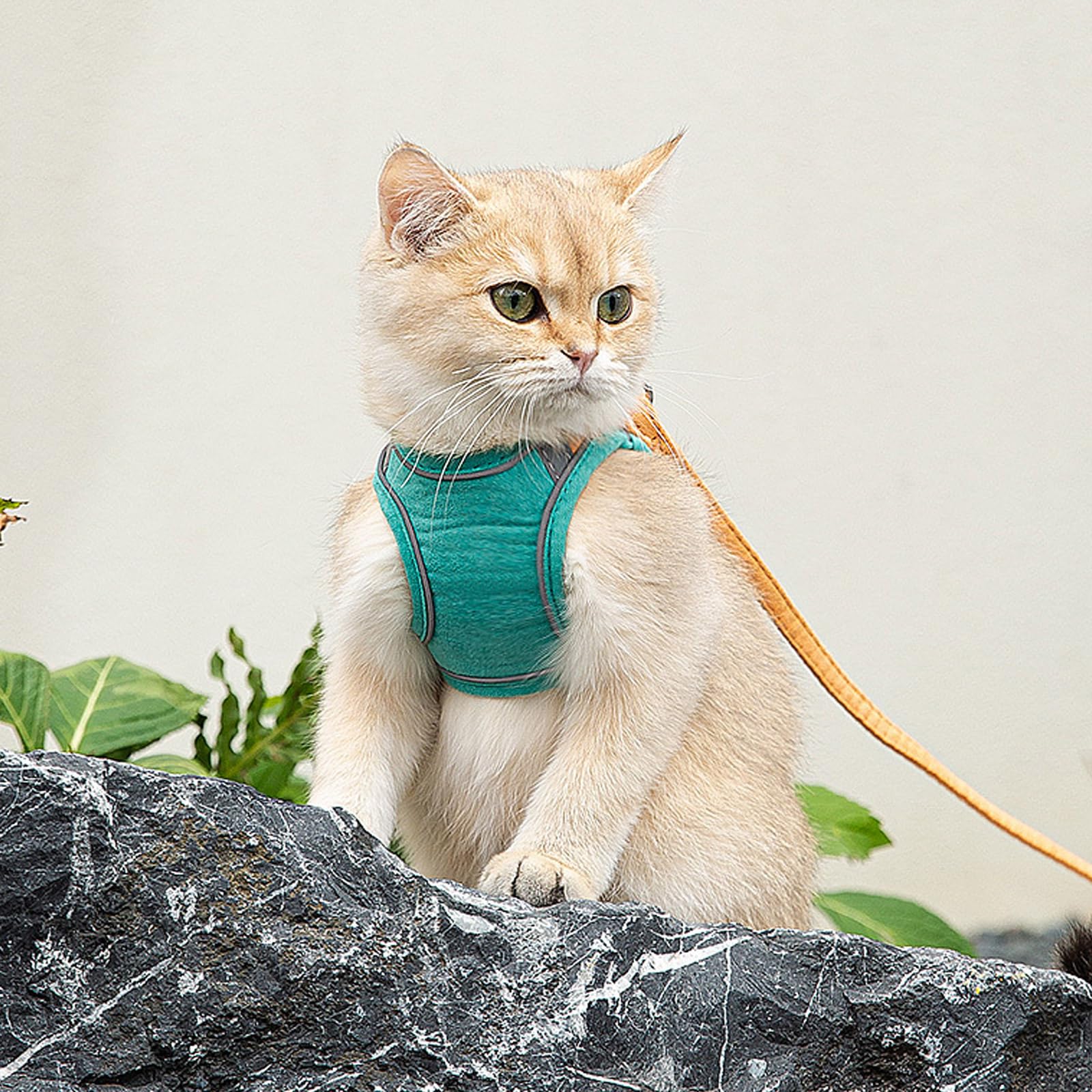 Cat Harness And Leash, Cat Harness Escape Proof, Soft Adjustable Cat Leash Breathable Comfortable Vest Easy To Wear, Easy Walk Leash For Small Medium Cats Kittens For Indoor Outdoor