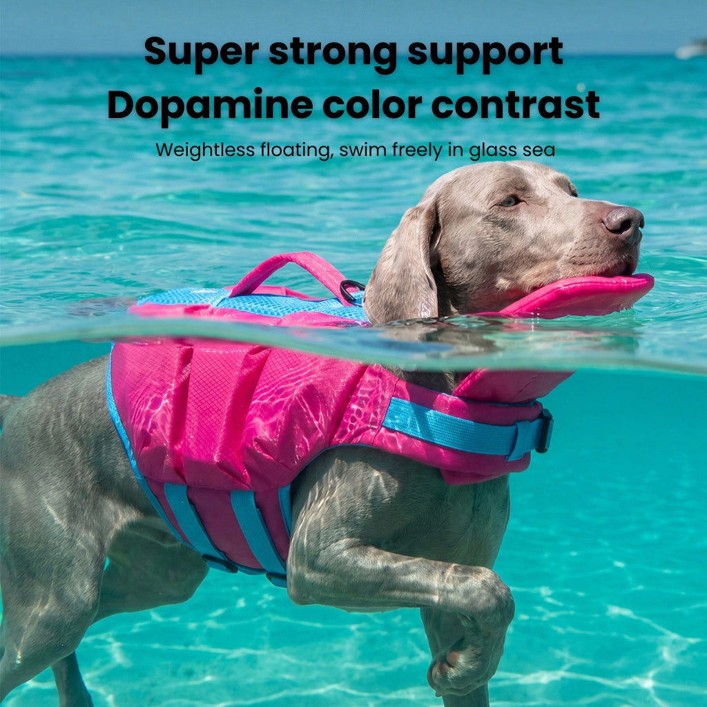 Summer High-Visibility Life Jacket With Bold Color Blocking For Outdoor Swimming