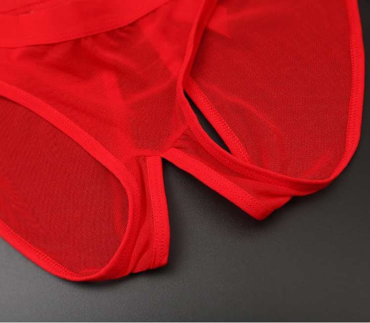 Sexy Transparent Ladies Low-rise Seamless Mesh Briefs
