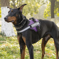 Harness Dog LeashVest-styl For Medium To Large Dogs