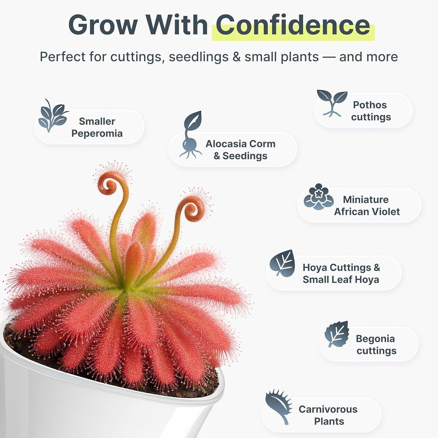 Self-watering Storage Flower Pot For Lazy People