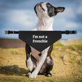 Dog Saliva Towel Triangular Binder Scarf Collar Ornament