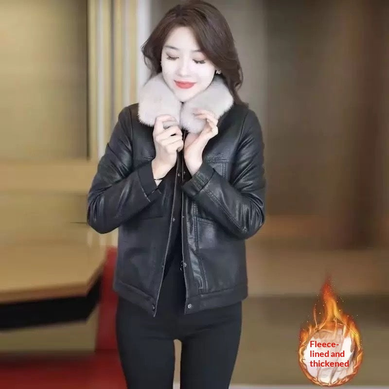 Womens Stylish Padded Short Coat With A Fur Collar