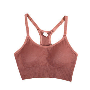 Womens Padded Free Sports Bra Sweat Wicking And High Impact Resistant